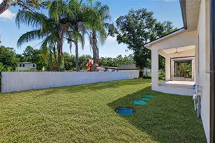 7617 Alvina St, Tampa, FL 33625 - Photo 39