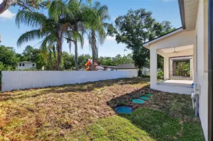 7617 Alvina St, Tampa, FL 33625 - Photo 39