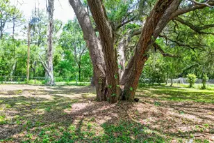 1819 Sinclair Hills Rd, Lutz, FL 33549 - Photo 55