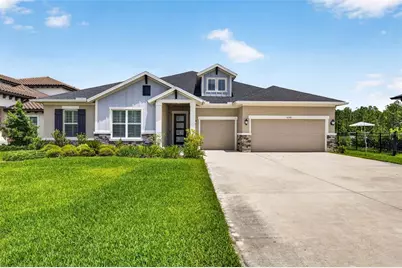 16181 November Rain Court, Land O Lakes, FL 34638 - Photo 1
