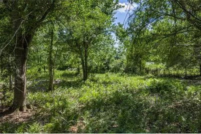42655 State Road 64 E, Myakka City, FL 34251 - Photo 17