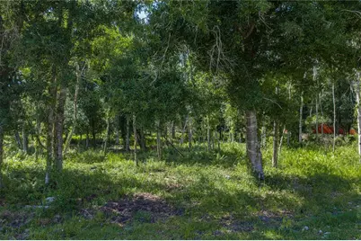 42655 State Road 64 E, Myakka City, FL 34251 - Photo 15