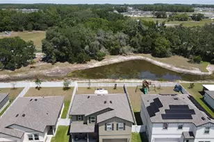 35159 Daisy Meadow Loop, Zephyrhills, FL 33541 - Photo 21