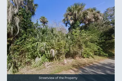 Poinciana Road, Edgewater, FL 32141 - Photo 13