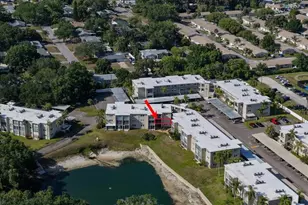 948 Virginia St, Dunedin, FL 34698 - Photo 29