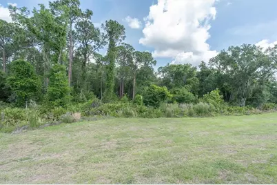 10155 Gentle Rain Drive, Land O Lakes, FL 34638 - Photo 25
