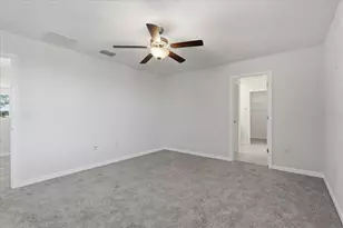 5224 White Chicory Dr, Apollo Beach, FL 33572 - Photo 27