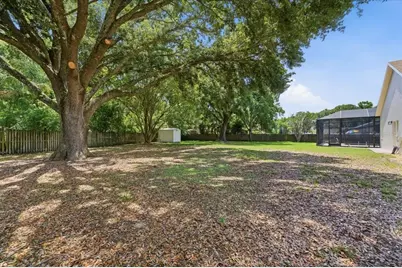 3902 Meadowlark Court, Land O Lakes, FL 34639 - Photo 3