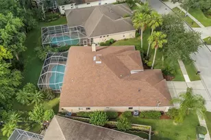10326 Millport Dr, Tampa, FL 33626 - Photo 63