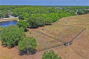 3533 Cardinal Feather Dr, Land O Lakes, FL 34638 - Photo 41