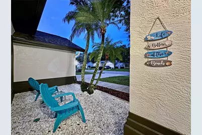 4617 Basswood Street, Land O Lakes, FL 34639 - Photo 59