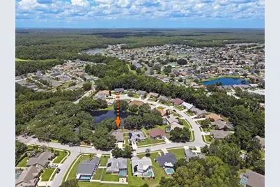 4617 Basswood Street, Land O Lakes, FL 34639 - Photo 67