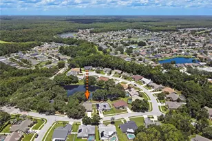 4617 Basswood St, Land O Lakes, FL 34639 - Photo 67