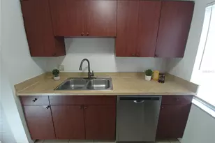 7505 Pitch Pine Cir, Tampa, FL 33617 - Photo 13