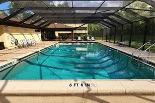 13610 S Village Dr, Tampa, FL 33618 - Photo 19