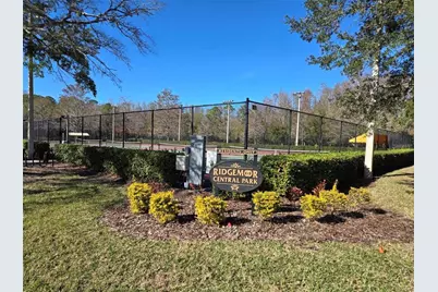 3867 Darston Street, Palm Harbor, FL 34685 - Photo 37
