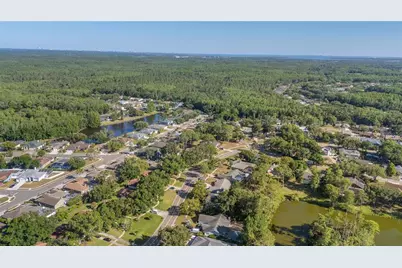 3446 Tarpon Woods Boulevard, Palm Harbor, FL 34685 - Photo 37