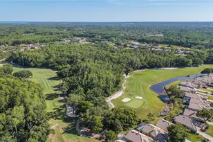 3446 Tarpon Woods Blvd, Palm Harbor, FL 34685 - Photo 35