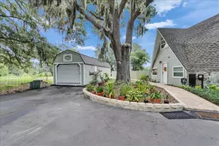 10424 Lyons Ave, Lithia, FL 33547 - Photo 25