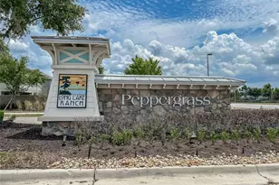 19312 Roseate Dr, Lutz, FL 33558 - Photo 13