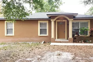 10608 N 50th St, Tampa, FL 33617 - Photo 19