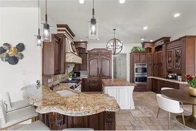 216 Lake Brant Drive, Lutz, FL 33548 - Photo 61