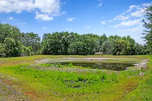 3122 Majestic View Dr, Lutz, FL 33558 - Photo 49