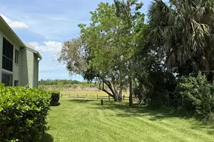 109 Nancy Dr, Oldsmar, FL 34677 - Photo 23