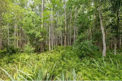 19204 Pristine Place, Lutz, FL 33558 - Photo 49