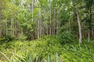 19204 Pristine Pl, Lutz, FL 33558 - Photo 49