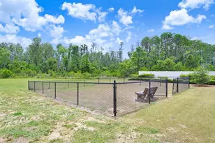 10677 Gliding Eagle Wy, Land O Lakes, FL 34638 - Photo 33
