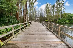 30303 Laurelwood Ln, Wesley Chapel, FL 33543 - Photo 81