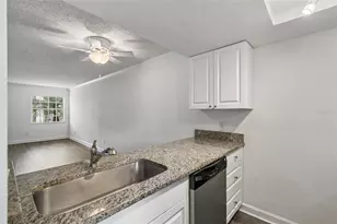 4813 McElroy, Tampa, FL 33611 - Photo 7