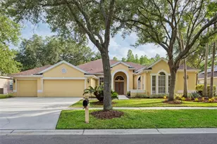 5306 Reflections Blvd, Lutz, FL 33558 - Photo 1
