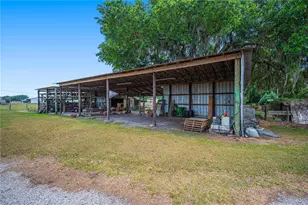 1616 McGee Rd, Plant City, FL 33565 - Photo 5