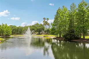 17104 Carrington Park Dr, Tampa, FL 33647 - Photo 27