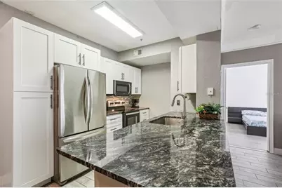 17104 Carrington Park Drive #514, Tampa, FL 33647 - Photo 3