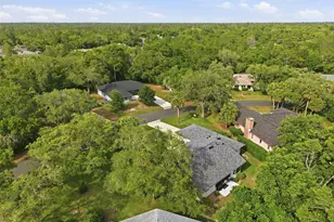 7 Salvia Ct W, Homosassa, FL 34446 - Photo 39