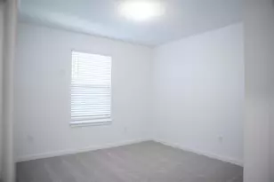 33410 Barnebrook Dr, Wesley Chapel, FL 33545 - Photo 9