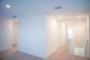 33410 Barnebrook Dr, Wesley Chapel, FL 33545 - Photo 17