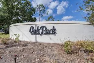 709 Oak Park Pl, Brandon, FL 33511 - Photo 47