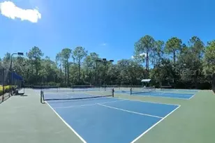 12415 Berkeley Square Dr, Tampa, FL 33626 - Photo 43