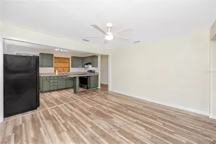 7134 Lauder Pl, Tampa, FL 33617 - Photo 15