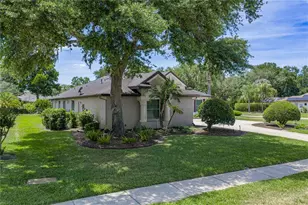 6105 Audubon Manor Blvd, Lithia, FL 33547 - Photo 7