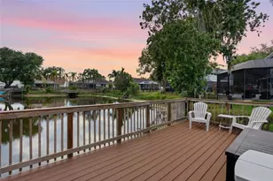 21115 Preservation Dr, Land O Lakes, FL 34638 - Photo 73
