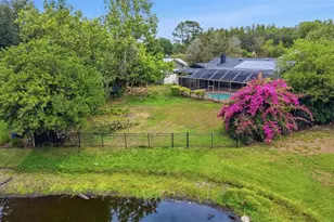 1135 Wisper Run Ct, Lutz, FL 33558 - Photo 3