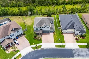 2905 Hilliard Dr, Wesley Chapel, FL 33543 - Photo 85