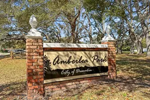1613 Greenwood Dr, Dunedin, FL 34698 - Photo 33