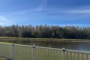 10662 Pictorial Park Dr, Tampa, FL 33647 - Photo 5