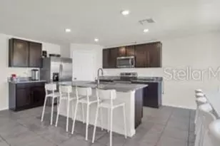 16747 Sunburst Lake St, Wimauma, FL 33598 - Photo 9